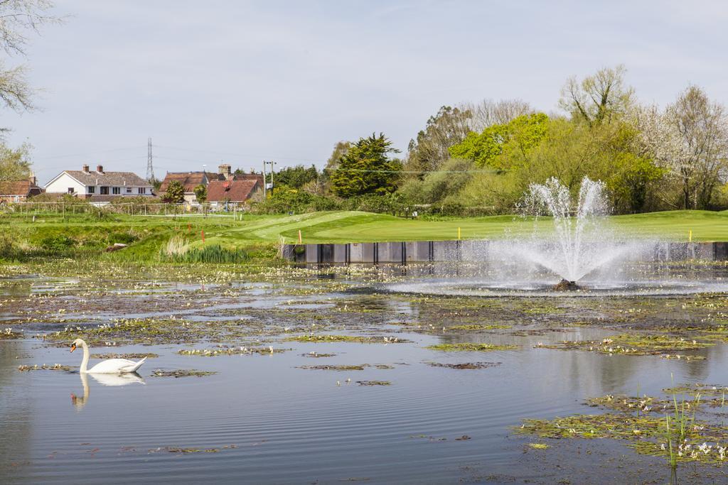 Dudsbury Golf Club - Hotel And Spa Ferndown Exteriör bild